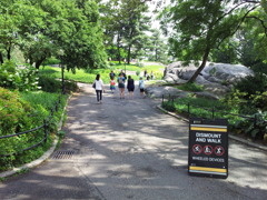 2019/06/16_セントラル・パーク