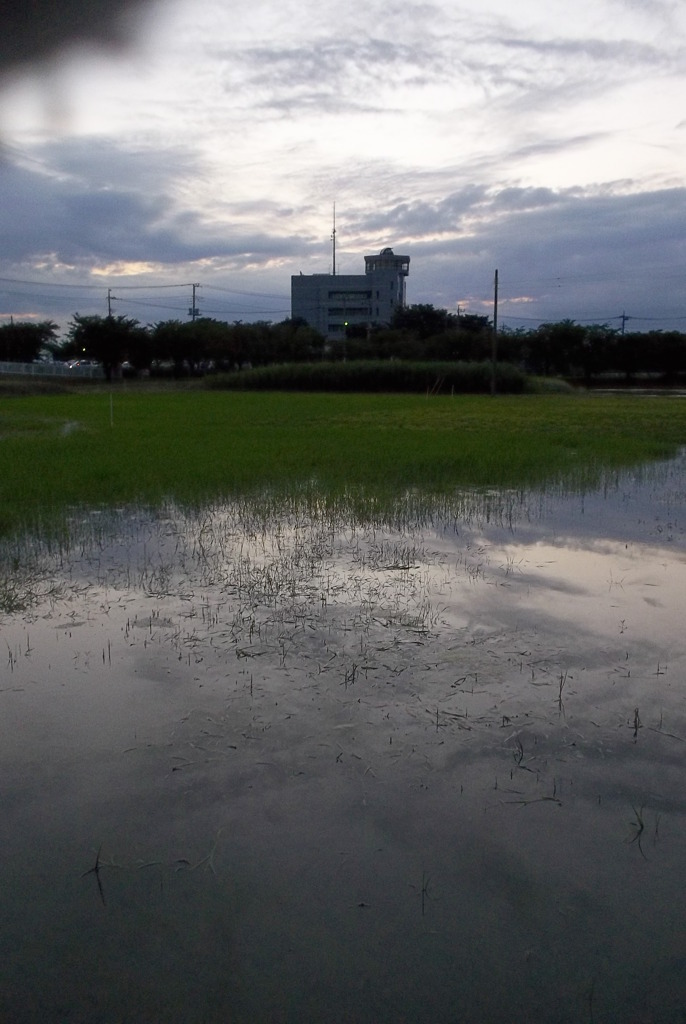 2015/06/21_夕暮れのラブミー農場跡地（没カット）