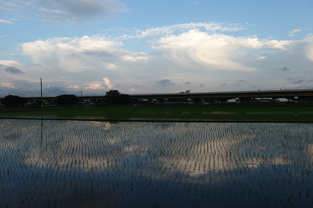 2015/06/21_水田に雲