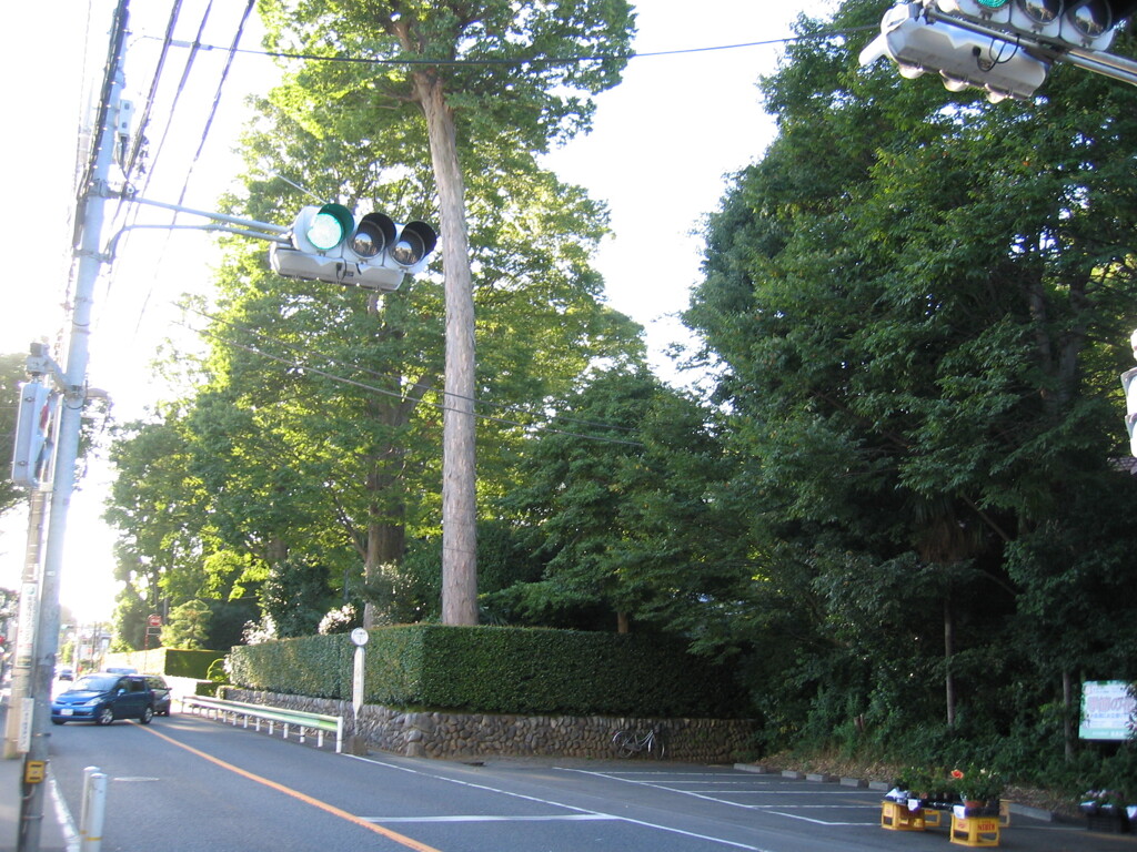 2012/08/19_五日市街道沿いの屋敷林