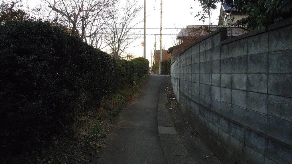 2013/01/27_畑の中の道