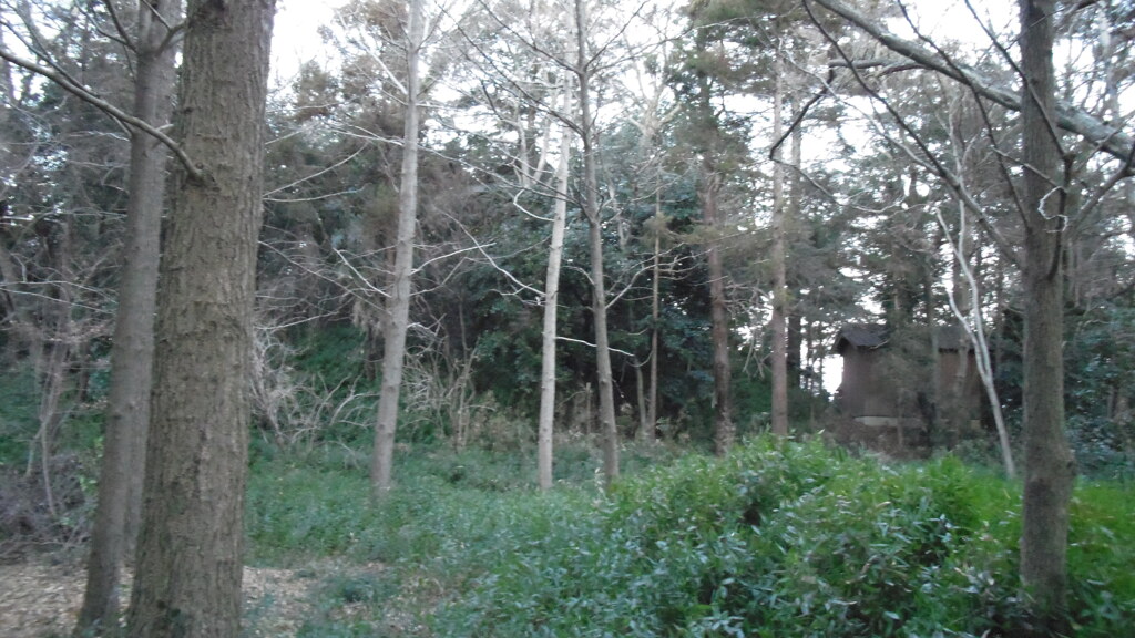 2013/01/26_さきたま古墳公園から前玉神社方面を望む