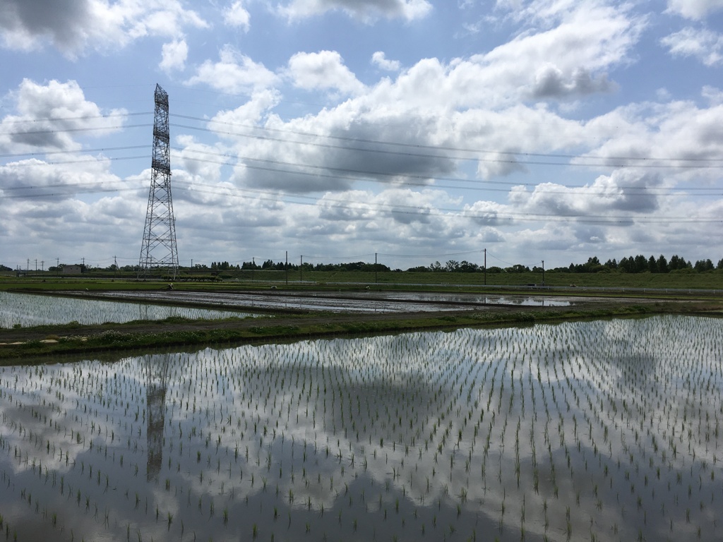 2020/05/24_水田に雲