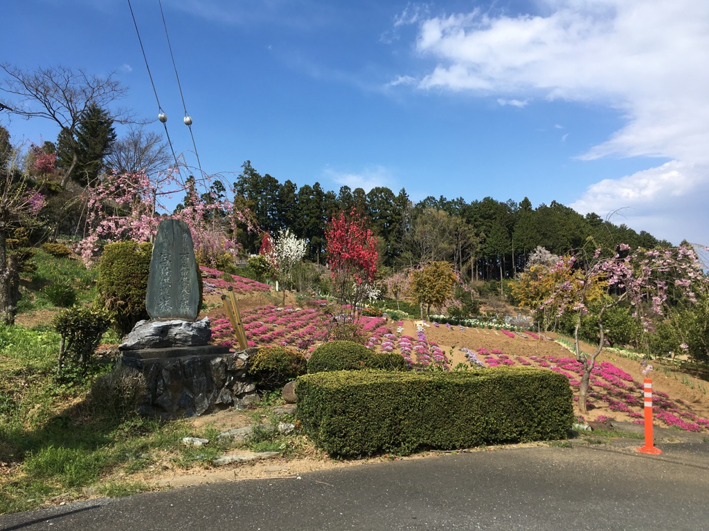 2020/04/05_花桃の郷