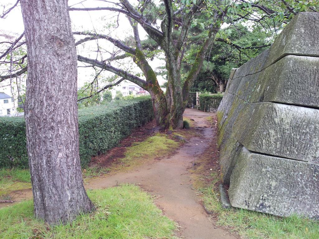2019/09/24_福井城址 天守櫓台跡