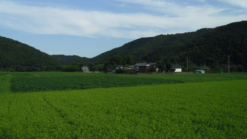 2012/09/09_下里の田園