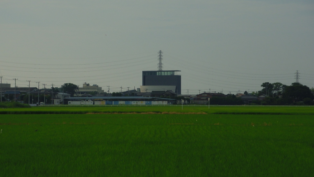 2013/07/21_田んぼの中のフレサよしみ