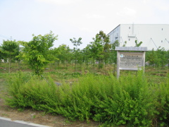 2012/06/02_三崎の森公園 本多静六博士の森