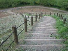 2009/08/22_さきたま古墳公園 丸墓山古墳の道