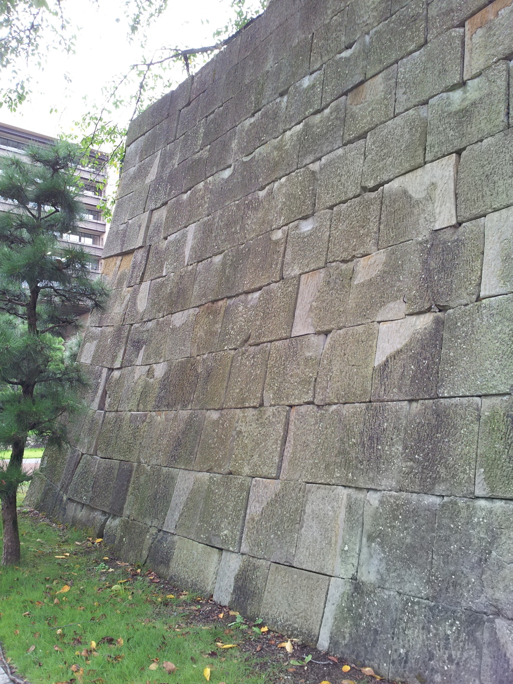 2019/09/24_福井城址 石垣