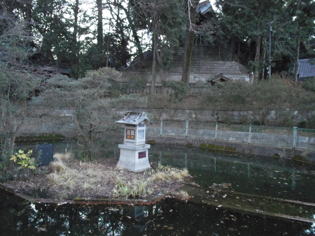 2013/01/26_前玉神社の池