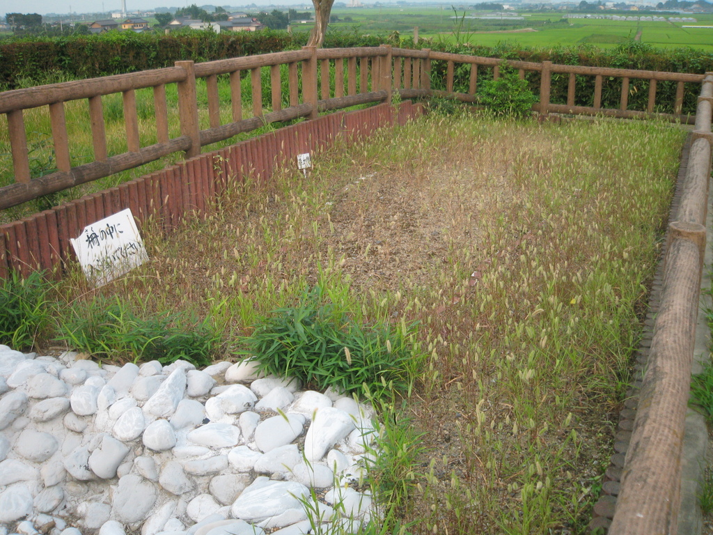 2009/08/22_さきたま古墳公園 稲荷山古墳の後円部