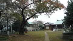 2012/11/11_天神社