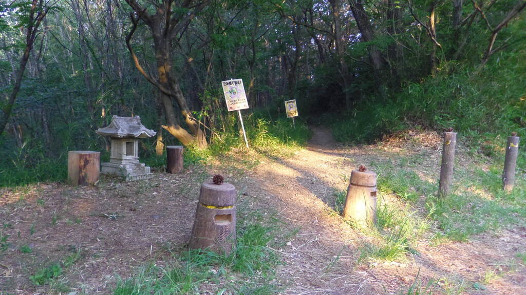 2013/06/08_社があるハイキング道入口