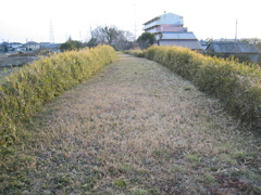 2012/02/11_石田堤史跡公園