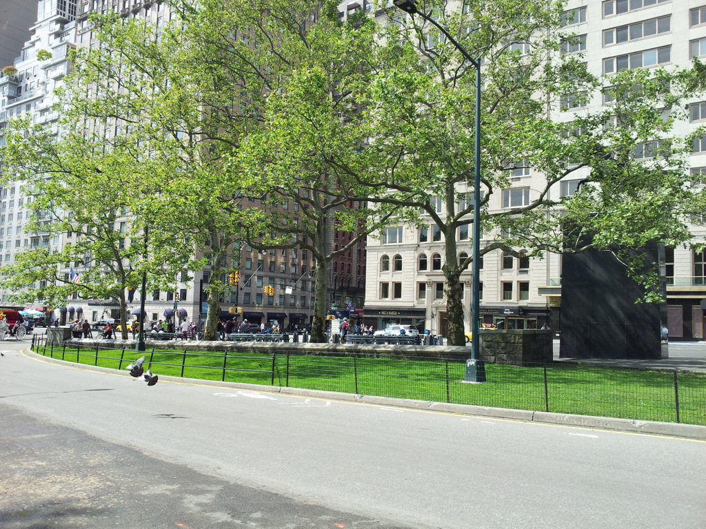 2019/06/16_セントラル・パーク