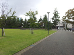 2019/09/24_中央公園