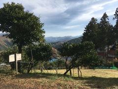 2019/12/01_大通領神社参拝路入口