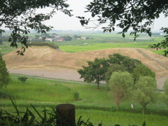 2009/08/22_さきたま古墳公園 丸墓山古墳から稲荷山古墳を望む