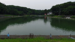 2013/06/09_箕和田湖