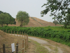 2009/08/22_さきたま古墳公園 稲荷山古墳