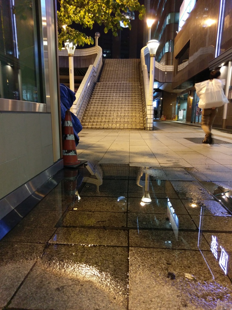 2019/08/28_夜、雨上がりの上野
