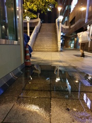 2019/08/28_夜、雨上がりの上野
