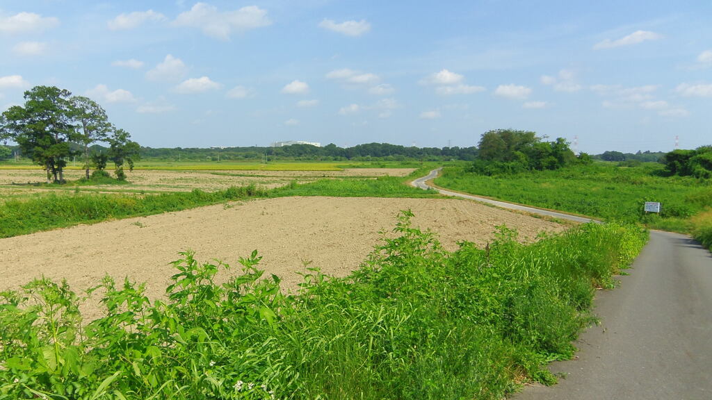 2013/08/18_荒川河川敷