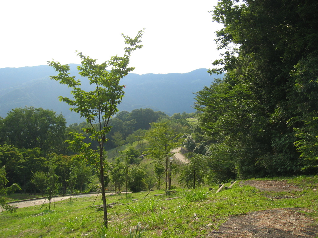 2012/06/30_中間平緑地公園