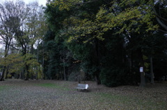 2014/11/30_ふれあいの森401のベンチ