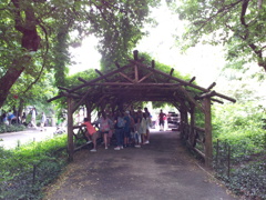 2019/06/16_セントラル・パーク ストロベリー・フィールズ