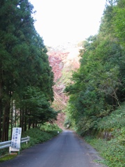 2011/09/18_山の斜面の伐採?