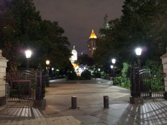 2019/06/15_夜の市庁舎公園
