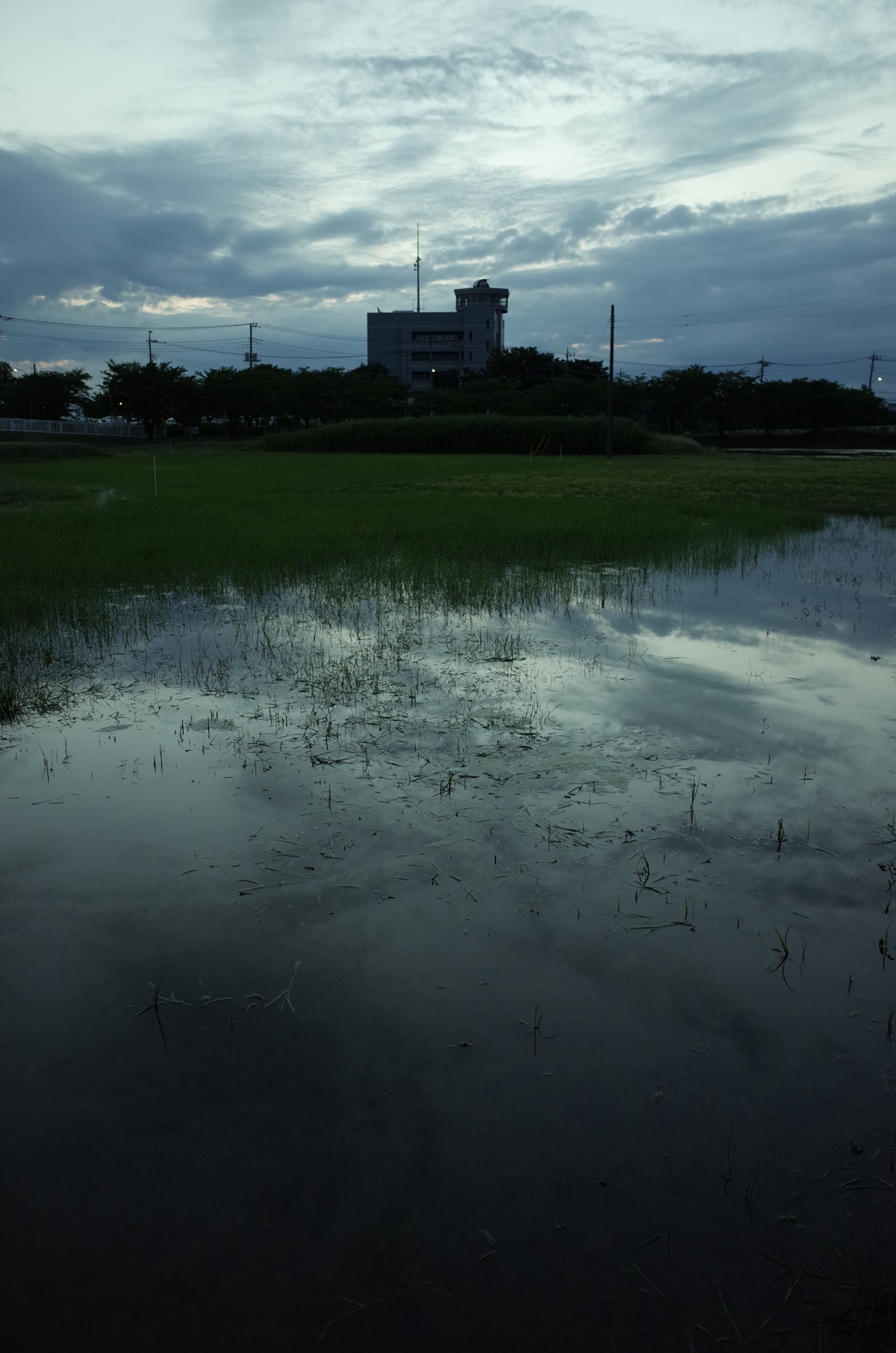 2015/06/21_夕暮れのラブミー農場跡地