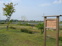 2012/06/02_三崎の森公園 合併記念の森
