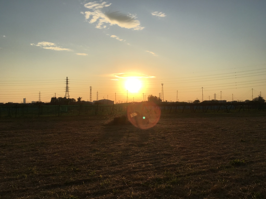2019/12/01_夕暮れの廃車