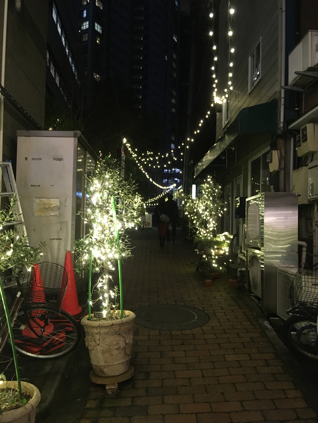2020/01/29_中野レンガ坂近くの夜の路地