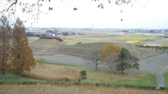 2012/11/24_さきたま古墳公園 丸墓山古墳から稲荷山古墳を望む