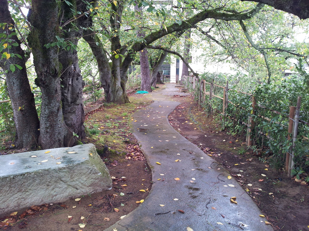 2019/09/24_福井城址 散策路