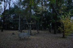 2014/11/30_ふれあいの森401のベンチ（没カット）