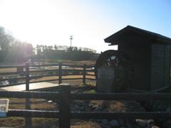 2012/01/02_下芝水辺公園