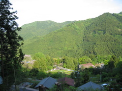 2011/05/14_外秩父山中
