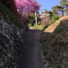 2020/04/05_花桃の郷の小径