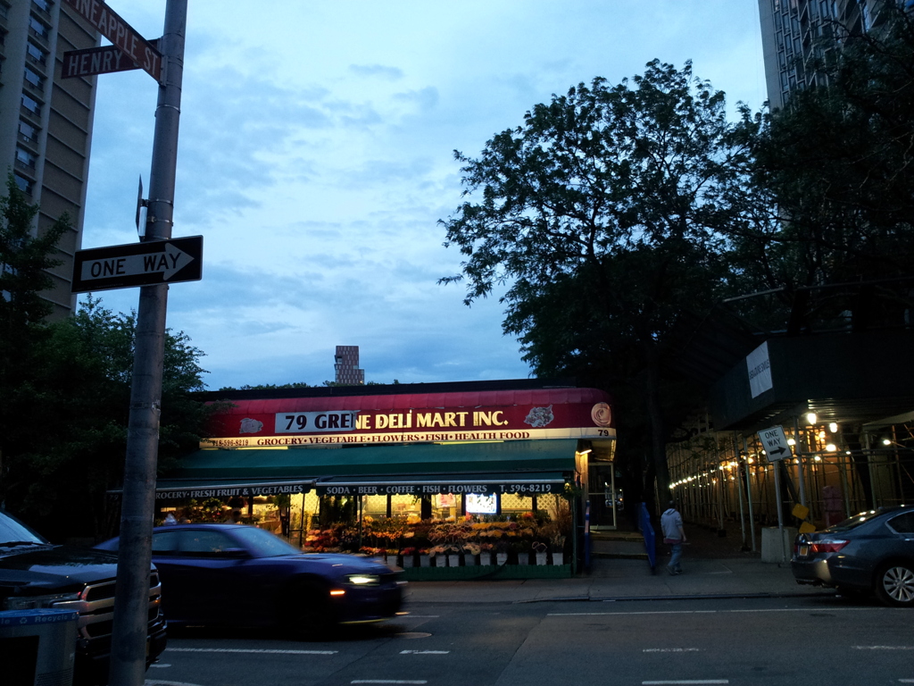 2019/06/15_ヘンリー・ストリートとパイナップル・ウォーク交差点の店