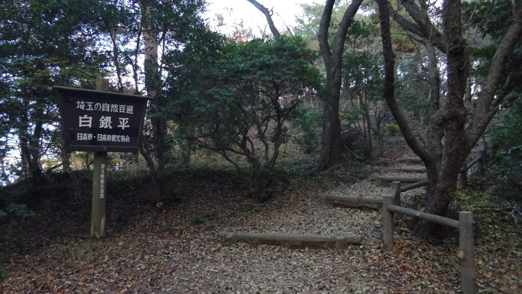 2013/12/07_白銀平