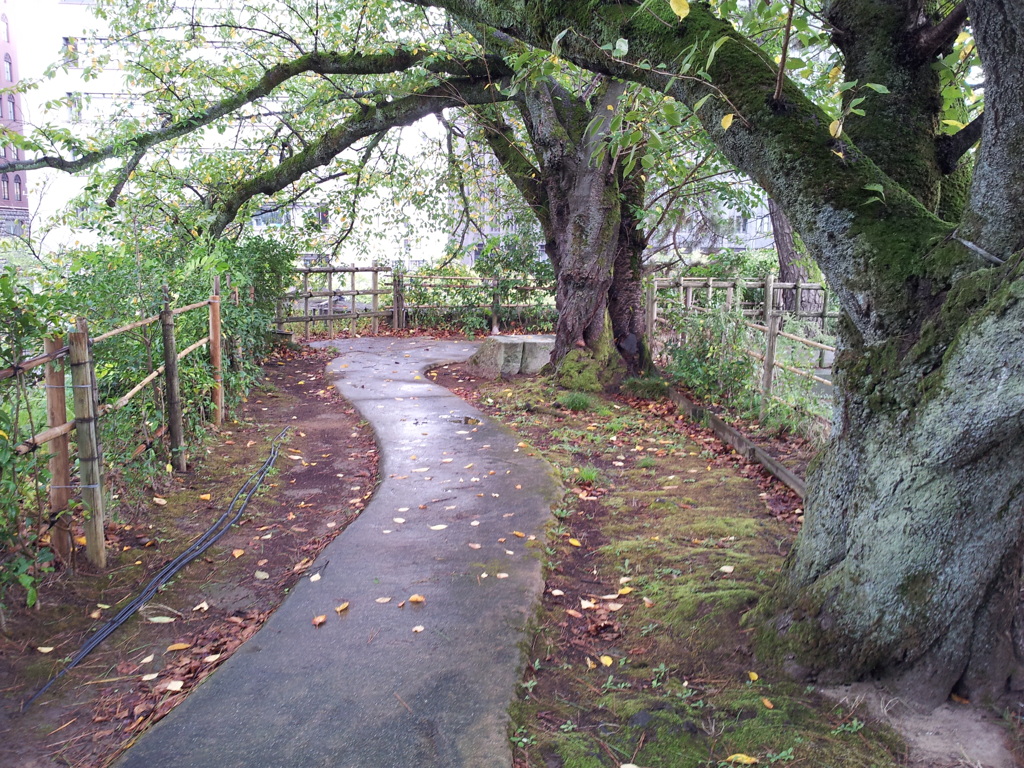 2019/09/24_福井城址 散策路