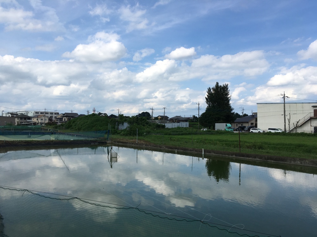 2020/08/02_水田に雲
