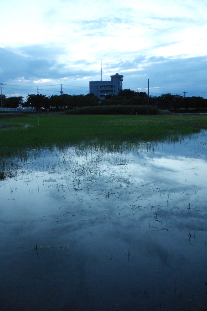 2015/06/21_夕暮れのラブミー農場跡地