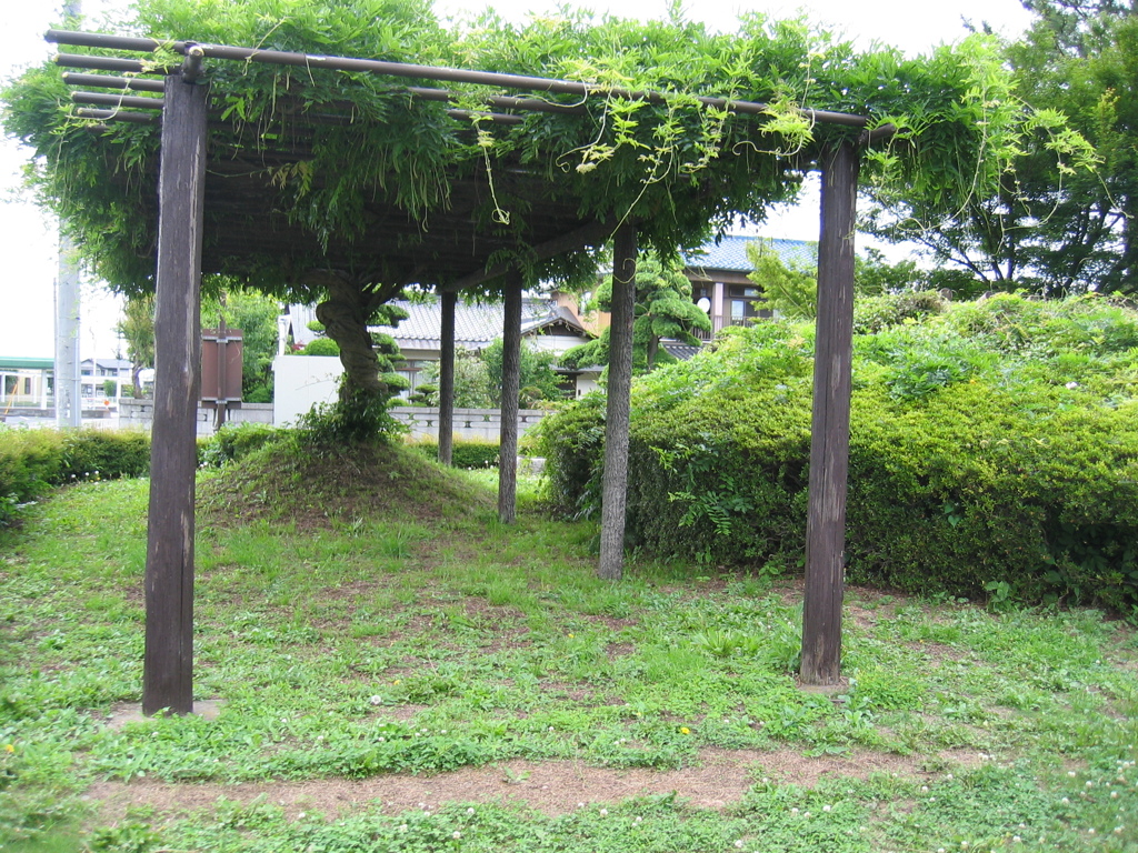 2012/06/10_鎮守の森公園