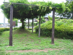 2012/06/10_鎮守の森公園